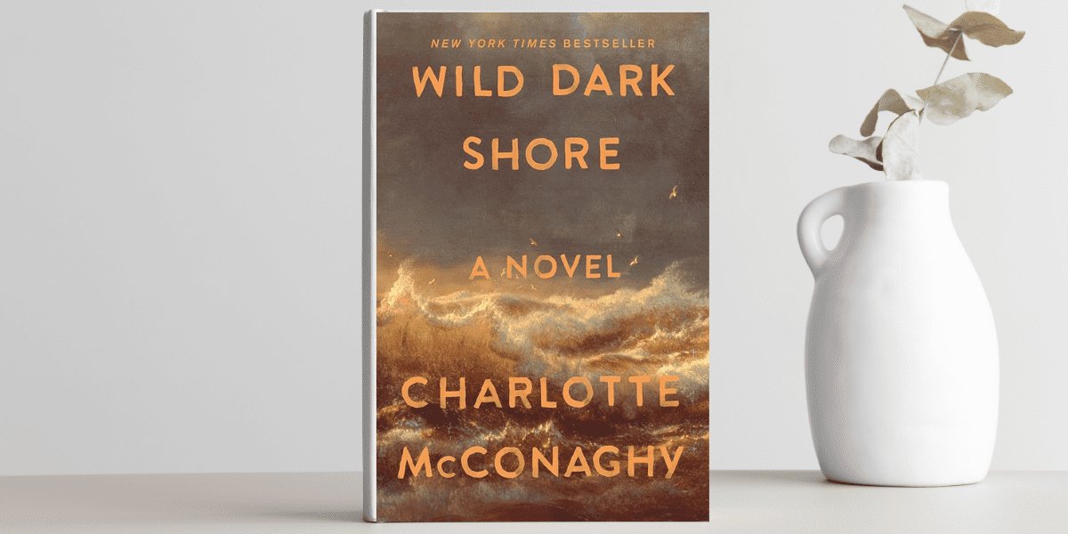 Interfaith Social Justice Book Club: Wild Dark Shore
